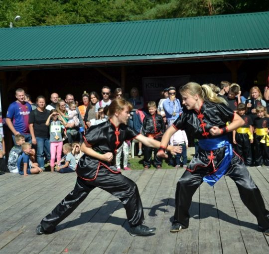 Kung fu "Lampart" na stronach Gminy Zabierzów